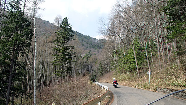 キャンプ場へ向かう猿さん